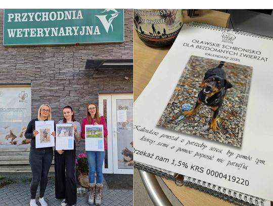 Już jest kalendarz z bezdomniakami