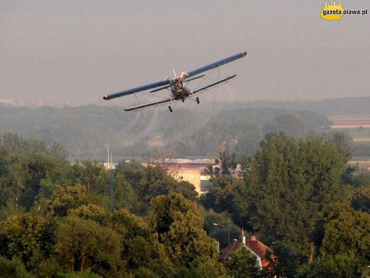 Już po odkomarzaniu