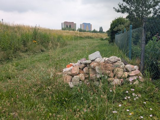 Kamieni kupa, czyli... pomnik powodzi