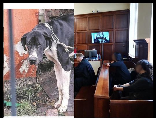 Jest wyrok - Karolina P. skazana