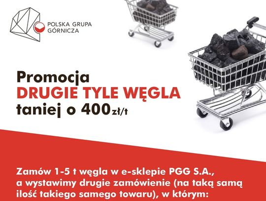 Kiedy  kupić  węgiel?