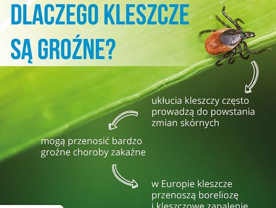 Kleszcze już atakują