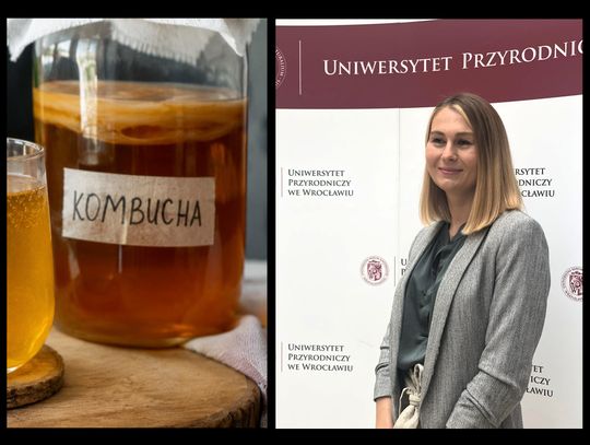 Kombucha jest „zdrowsza” niż myślano