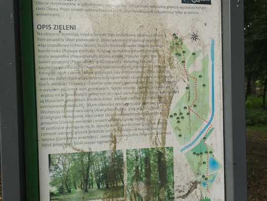 Komu to przeszkadza?