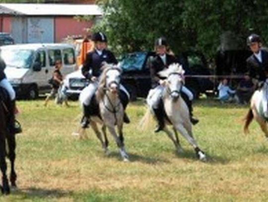 Konie na Błoniach jubileuszowo skakały