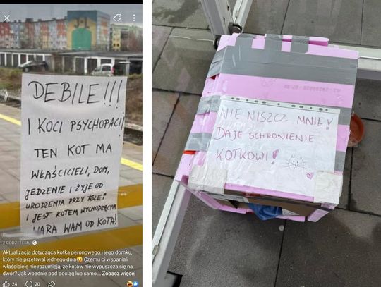 Kotek peronowy miał domek. Jeden dzień... Kotek peronowy miał domek. Jeden dzień...