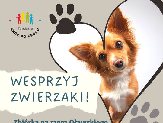 Krok po Kroku dla bezdomnych zwierząt