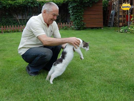 Kto strzela do kotów?