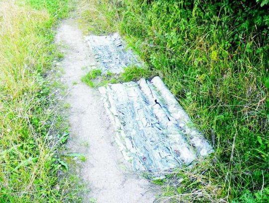 Kto wywiózł gruz do lasu?