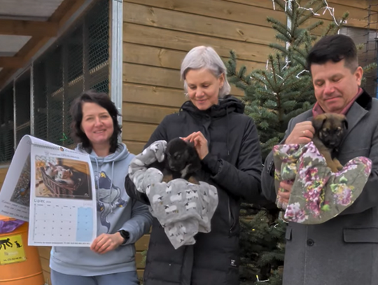 Kup kalendarz i wesprzyj schronisko
