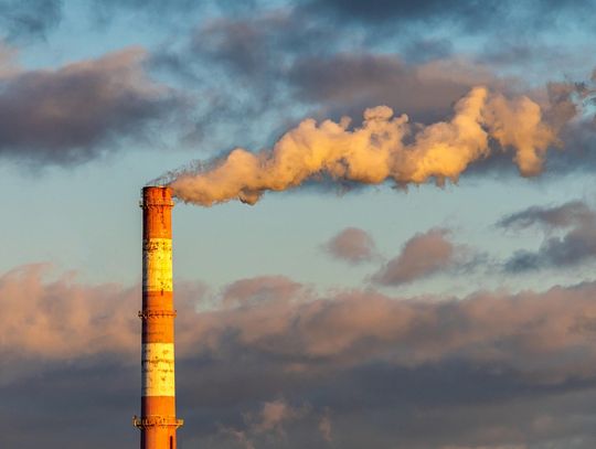 Latem smog też zabija