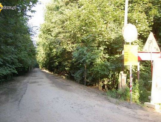 Leśną drogą z Oławy do Bystrzycy