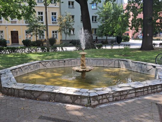 LIST: - Nowe parki i skwery na pokaz, a pod Urzędem Miasta wstyd i brud!