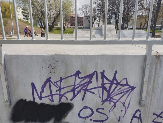 Mają zadbać o czystość przy skateparku