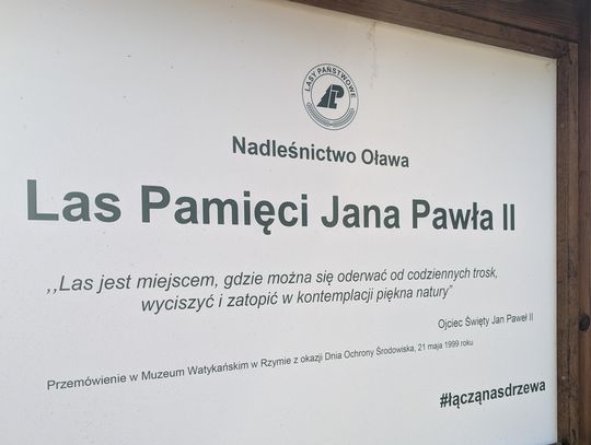 Mamy "Las Pamięci Jana Pawła II". Wiedzieliście? Mamy "Las Pamięci Jana Pawła II". Wiedzieliście?
