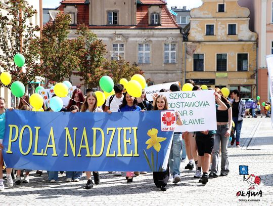 Marsz Żonkilowy w Oławie (GALERIA) Marsz Żonkilowy w Oławie (GALERIA)