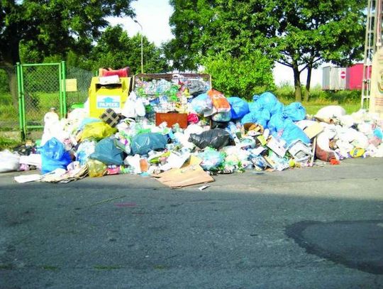 Miasto likwiduje &quot;dzikie wysypiska&quot;