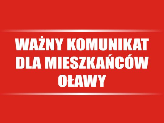 Miasto Oława wyjaśnia w sprawie bezdomnych psów i kotów