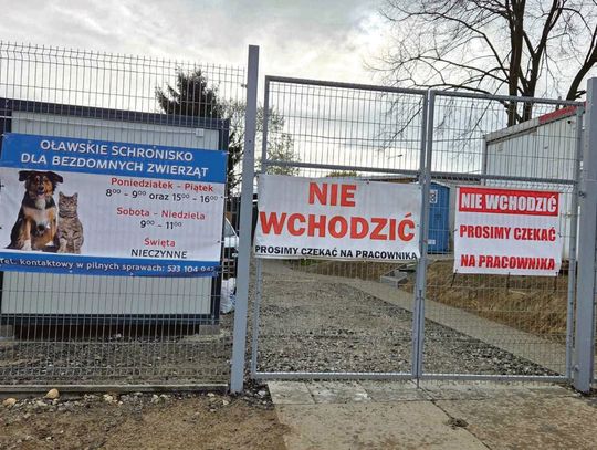 Miesięczny koszt utrzymania jednego zwierzęcia w oławskim schronisku to... 6 tys. zł?