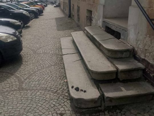 MIESZKANKA OŁAWY: - Sprzątanie po swoim pupilu zajmuje mniej niż minutę