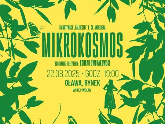 "Mikrokosmos" na oławskim Rynku