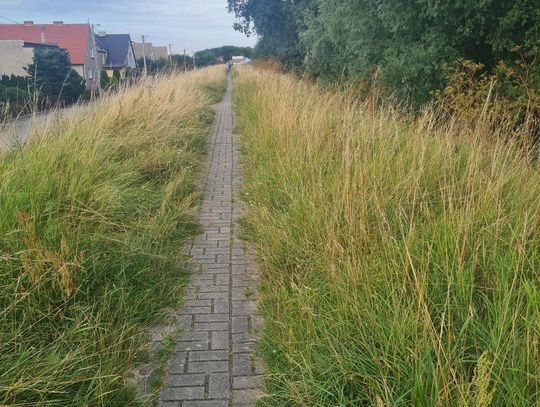 MINUS za tę ścieżkę rowerową