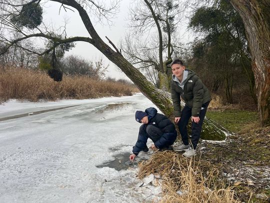 Młodzi naukowcy z Marcinkowic w Międzynarodowym konkursie Climate Detectives!