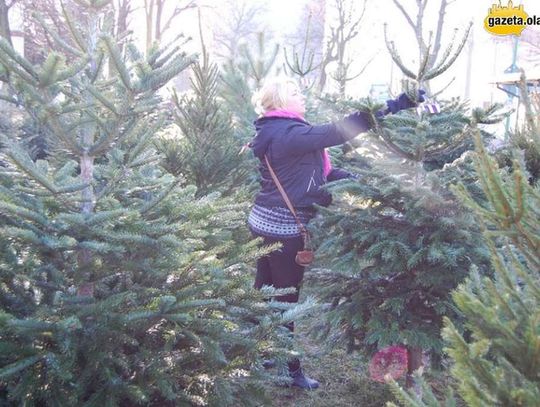 Moda na plastikowe już minęła