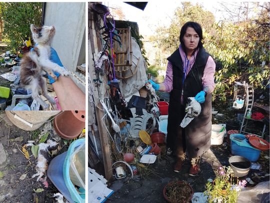 Myślały, że to będzie zwykła, interwencja... Myślały, że to będzie zwykła, interwencja...