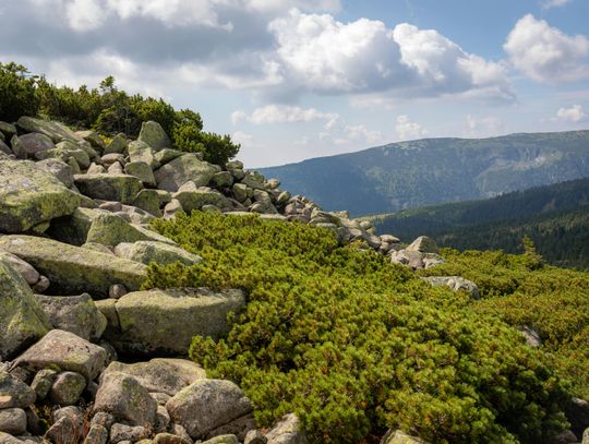 Najpiękniejsze samochodowe trasy widokowe w Kotlinie Kłodzkiej