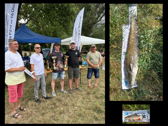 Największy był sum - miał 130 centymetrów Największy był sum - miał 130 centymetrów