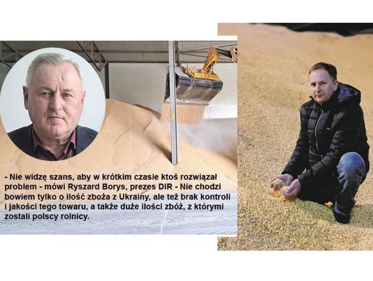 Nasi rolnicy już liczą straty w milionach