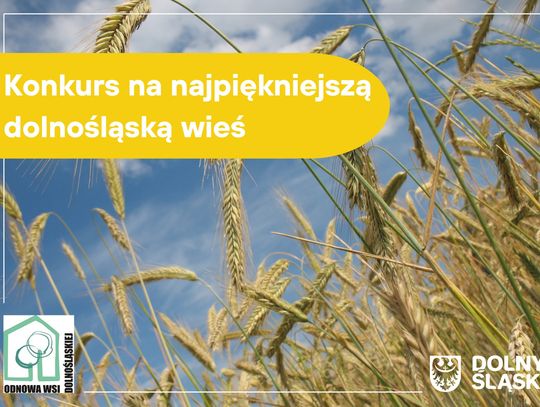 Nasze wsie podoławskie są najpiękniejsze? Głosujcie!