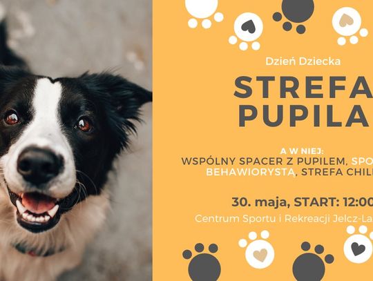 Nie tylko dla dzieci, także dla zwierzaków