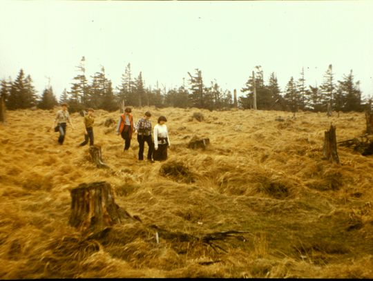 Nie tylko wiedza się liczy. Wspomnienie z LO nr 1