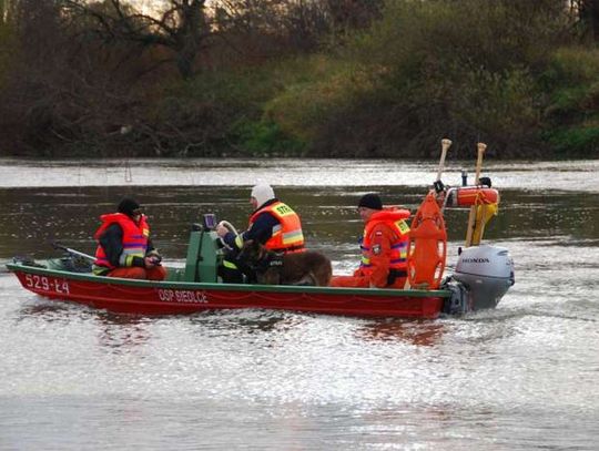Nie znaleziono ciała