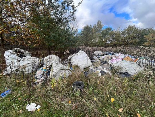 Nielegalne składowisko odpadów. Radny składa interpelację