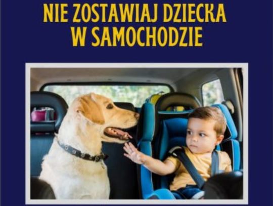 Nigdy nie zostawiaj dzieci i zwierząt w samochodzie!