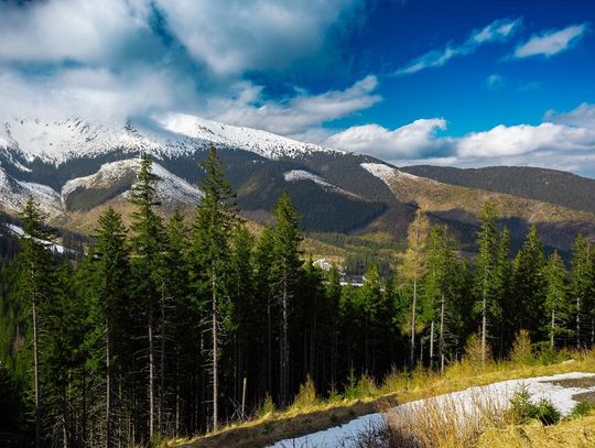 Niskie Tatry dla rodzin – noclegi i atrakcje, które zachwycą dzieci i dorosłych