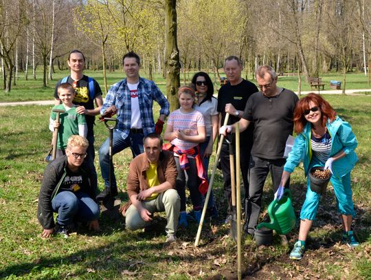 Nowoczesna posadziła drzewa