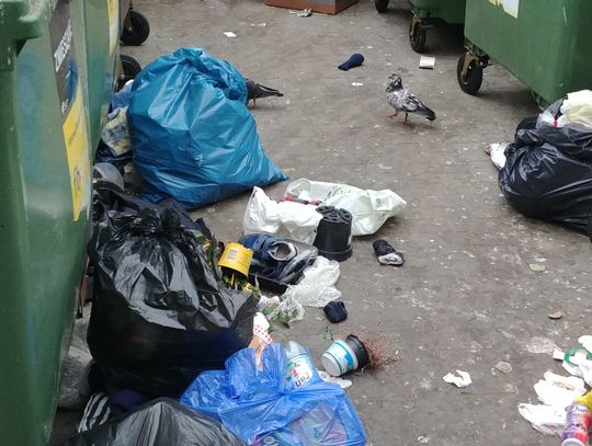 Od stycznia wzrosną opłaty za wywóz śmieci!