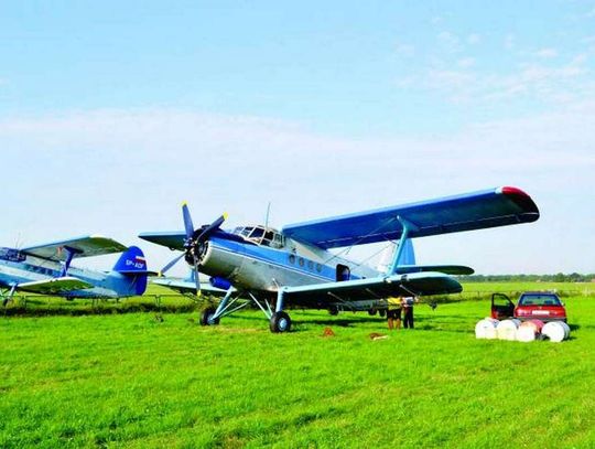 Odkomarzanie Oławy - drugie starcie!