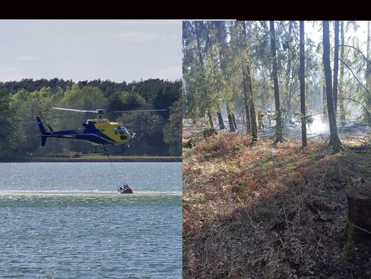 Ogień objął około 20 arów lasu