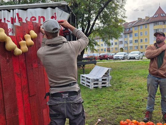 OŁAWA Kawałek dyniowej wioski w... mieście