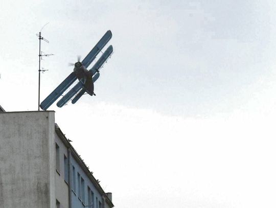 Oława. Kiedy odkomarzanie?