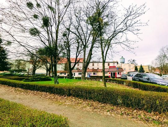 Oława ma od dzisiaj „Skwer imienia księcia Henryka I Brodatego” Oława ma od dzisiaj „Skwer imienia księcia Henryka I Brodatego”