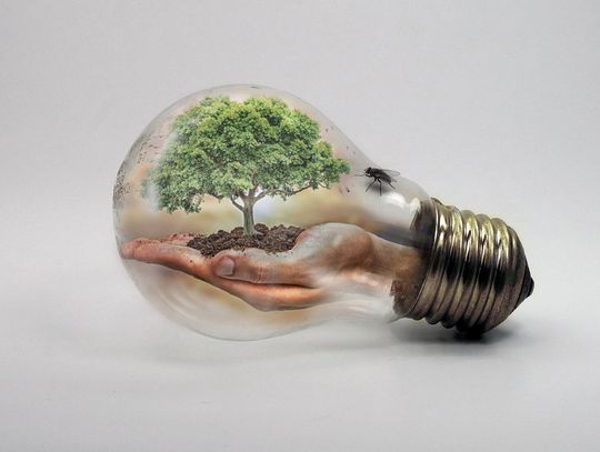 Oława ma plan adaptacji do zmian klimatu. Przeczytaj i podziel się uwagami