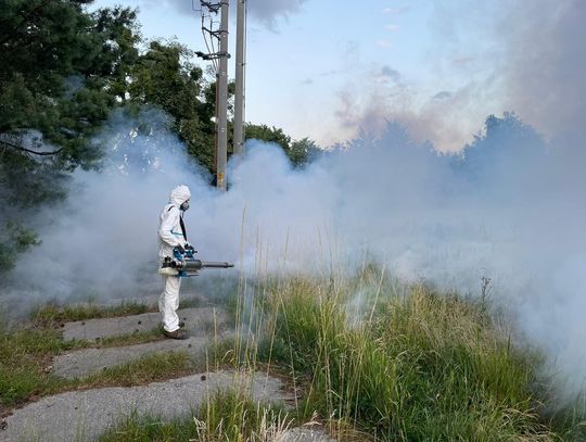 Oława. Rozpoczęli odkomarzanie