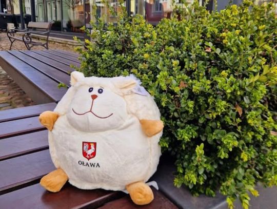 OŁAWA Sadzonki i pluszowe owieczki gratis - na Jarmarku Wielkanocnym