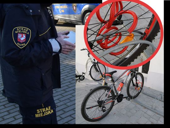 Oława. Strażnicy miejscy zatrzymali złodzieja rowerów